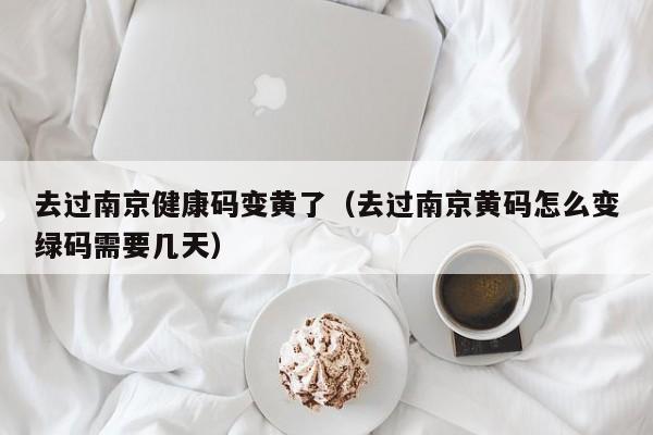去过南京健康码变黄了(去过南京黄码怎么变绿码需要几天)